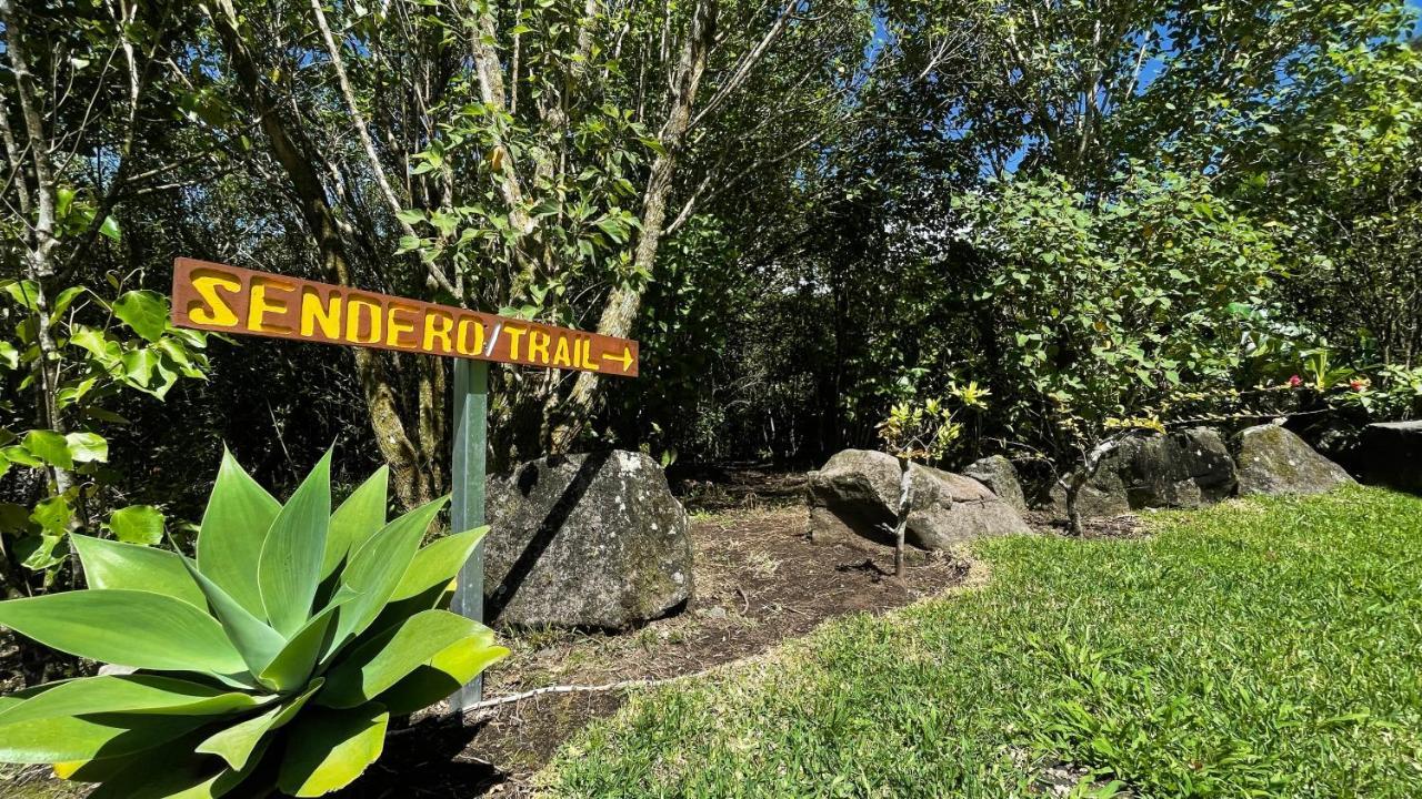 Villa Golondrina Cabana Rodeada De Naturaleza Monteverde Exterior foto